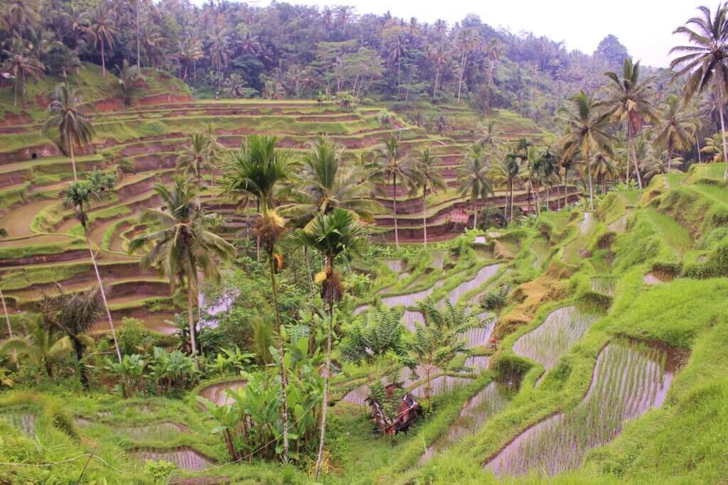 entdecke-bali-individuel-rundreise-planen-massgeschneidert-asien-reisespezialist