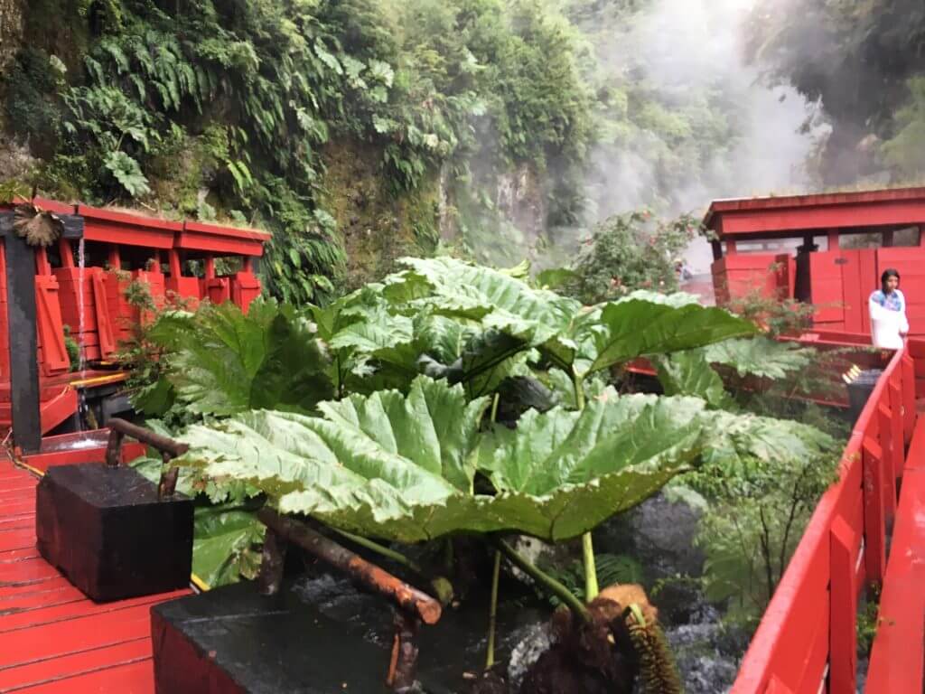 wanderreise-südamerika-luxuswanderreise-patagonien-chile-reisebüro-reiseplanung-reisetip-urlaubsplaner-seengebiet-hotpot-wellness-natur