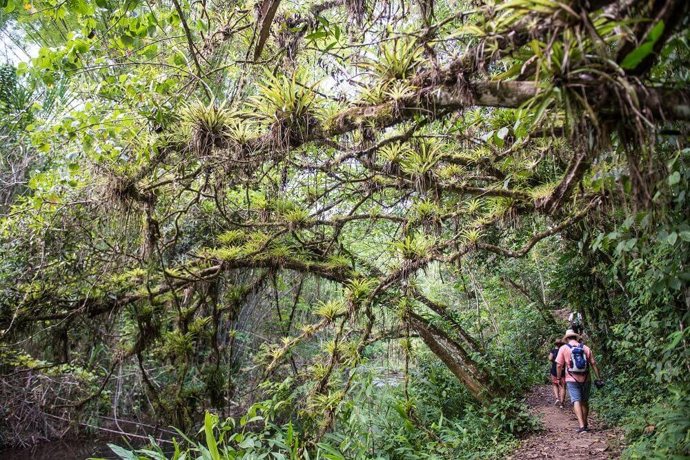 kuba-mittelamerika-aktivreise-planen-organisiert-rundreise-mietwagen