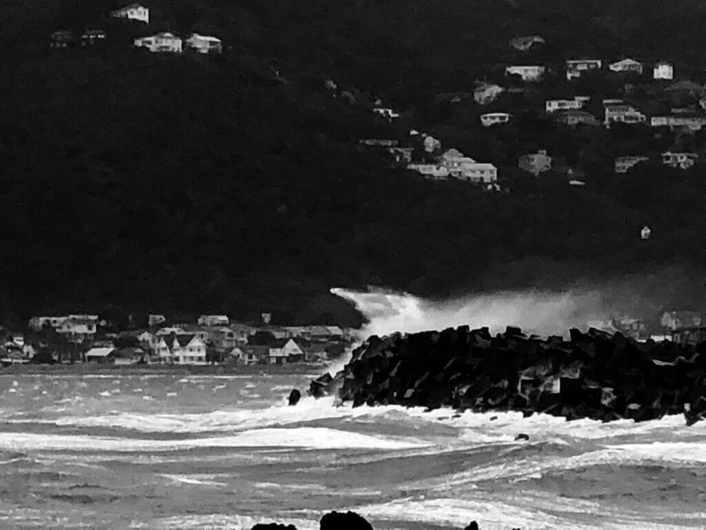 wellington-städtereise-neuseeland-wetter-reise-bericht-blog-reiseblog