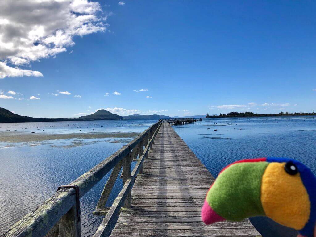 lake-taupo-tongariro-national-park-neuseelandrundreise-blog-reiseinfo-reisebüro-reisespezialist