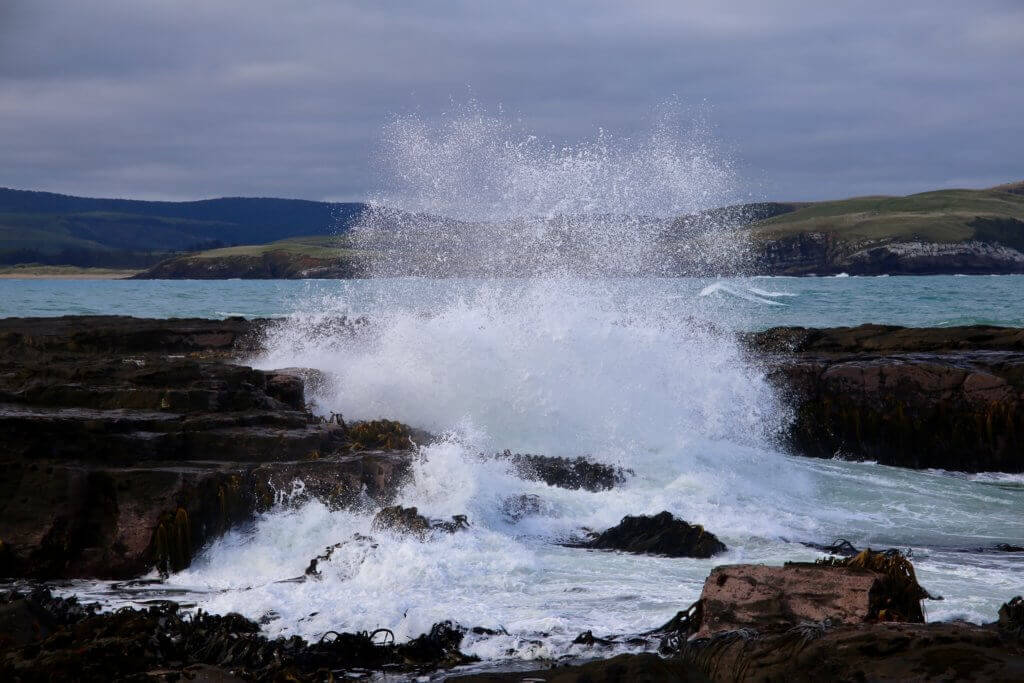 neuseeland-catlins-wale-watching-beobachten-strandspaziergang-natur-erleben-fotos-fotourlaub-reisebericht-reisebüro