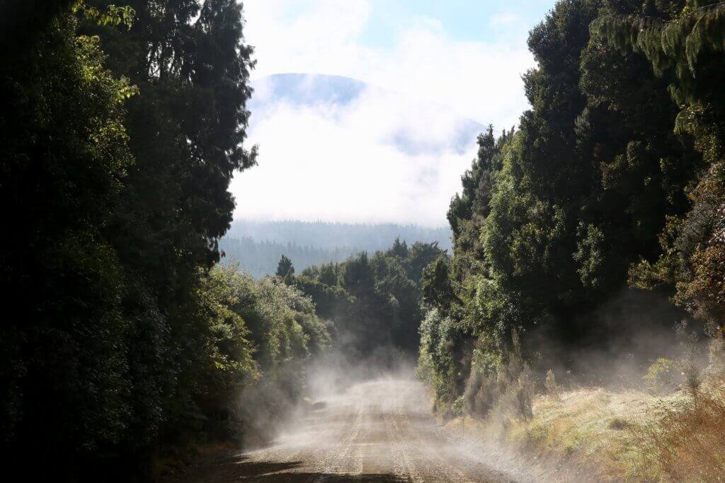 neuseelands-erleben-bereisen-reisebüro-of-track-mietwagen-buchen-reisebüro