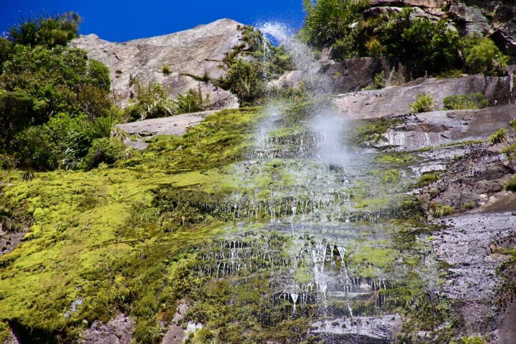 reiseplanung-tips&tricks-tagesausflug-highlight-sehenswürdigkeit-südinselmilford-sound-neuseeland-naturspektakel-tagestour-bootstour-