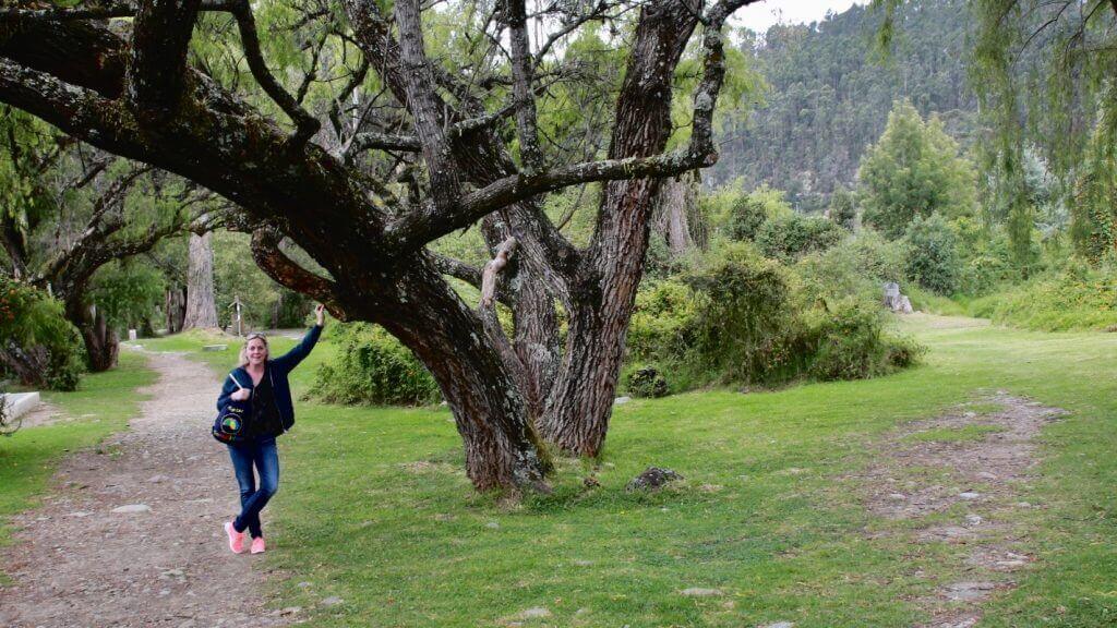 urlaub-südamerika-spanisch-deutsch-englisch-sprache-individuell-heidi-thalmeier-travelguide-reisebüro