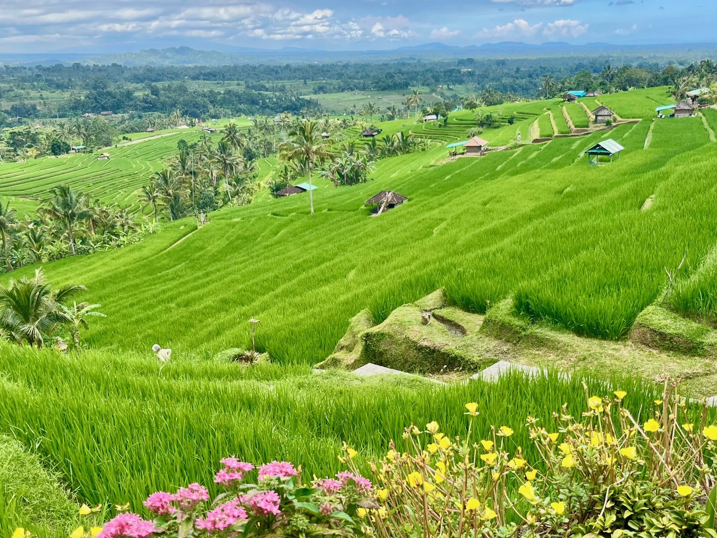 urlaub-planen-lanschaft-reisefeld-spezialist