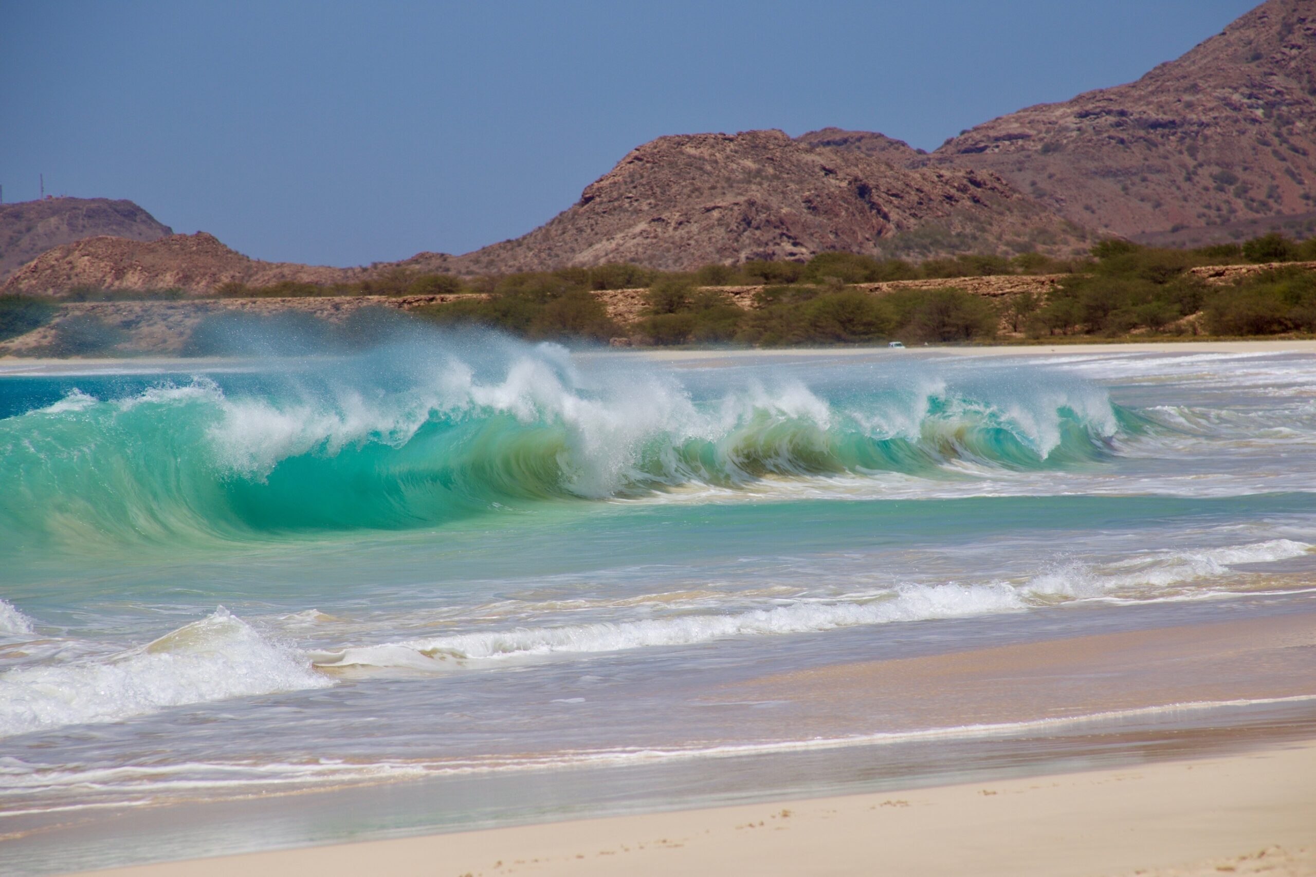 urlaub-planen-strand-reise