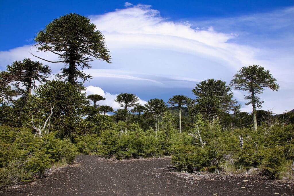 reisen-suedamerika-fuer-aktivreise-mit-mietwagen-chile-rundreise-seengebiet