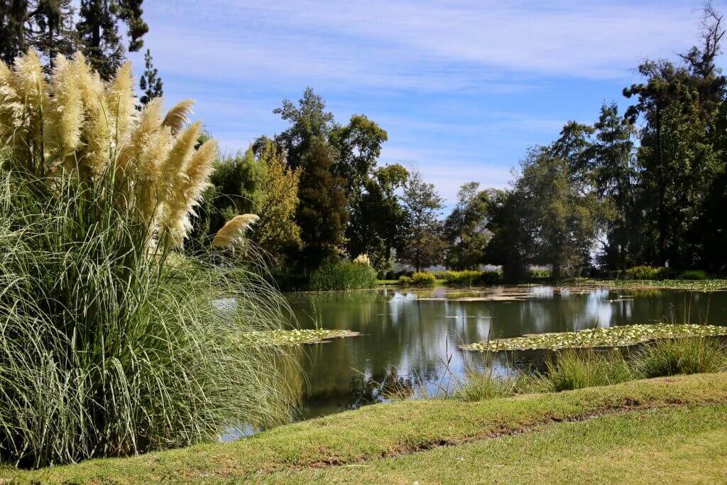 weinprobe-anden-reiseidee-urlaub-chile-reise-santiago-de-chile-suedamerika-reisen-santiago-de-chile-und-umgebung-chile-wein