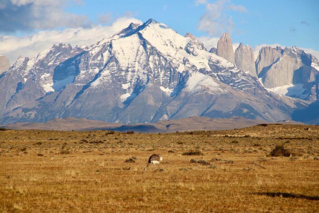 urlaub-patagonien-suedamerika-torres-del-paine-organisiert-aktivreise-chilereise-chile