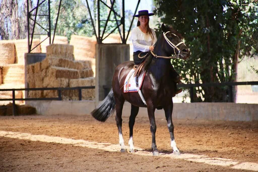 reiseidee-chile-urlaub-chile-reise-santiago-de-chile-suedamerika-reisen-santiago-de-chile-und-umgebung-pferde-anden