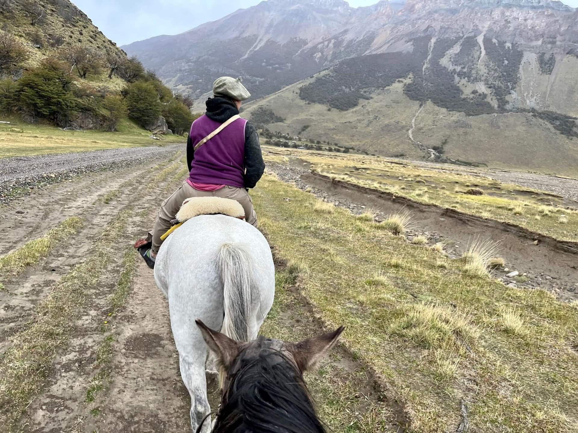 urlaub-patagonien-el-chalten-pferde-reise-chile