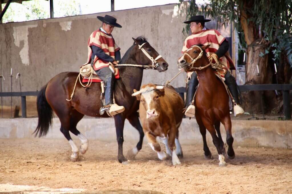 chile-rundreise-traditionelle-pferdeshow-urlaub-planen
