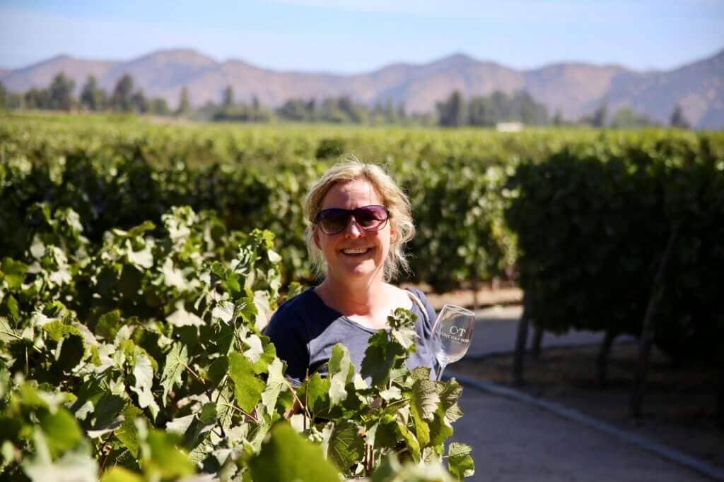 anden-reiseidee-chile-urlaub-chile-reise-santiago-de-chile-suedamerika-reisen-santiago-de-chile-und-umgebung-wein-weinprobe