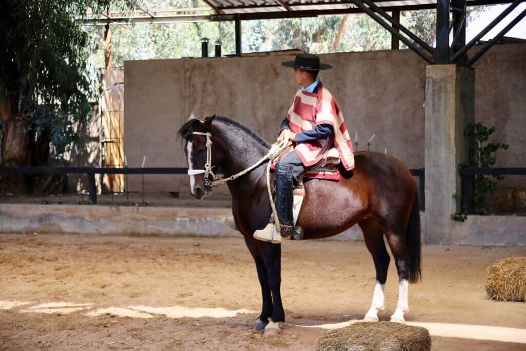 suedamerika-organisiert-reisespezialist-reiskombination-urlaub-chile-reise-santiago-de-chile-suedamerika-reisen-santiago-de-chile-und-umgebung-zentralchile-urlaub