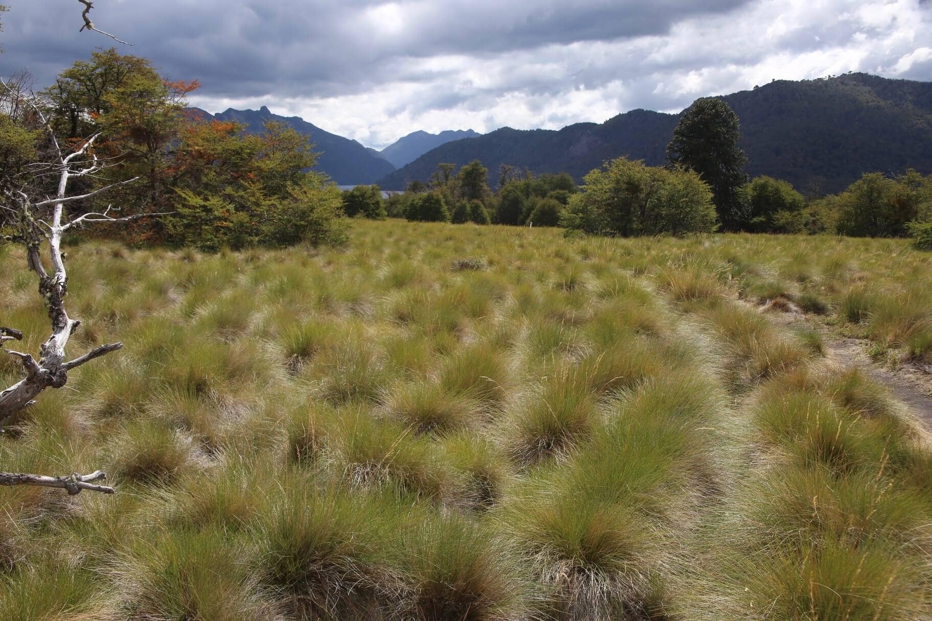 urlaub-aktivurlaub-argentinien-reiseblog