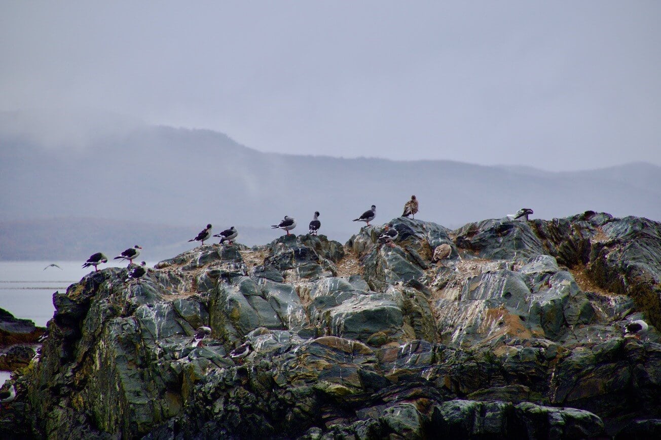 beegle-kanal-argentinien-reise-planen