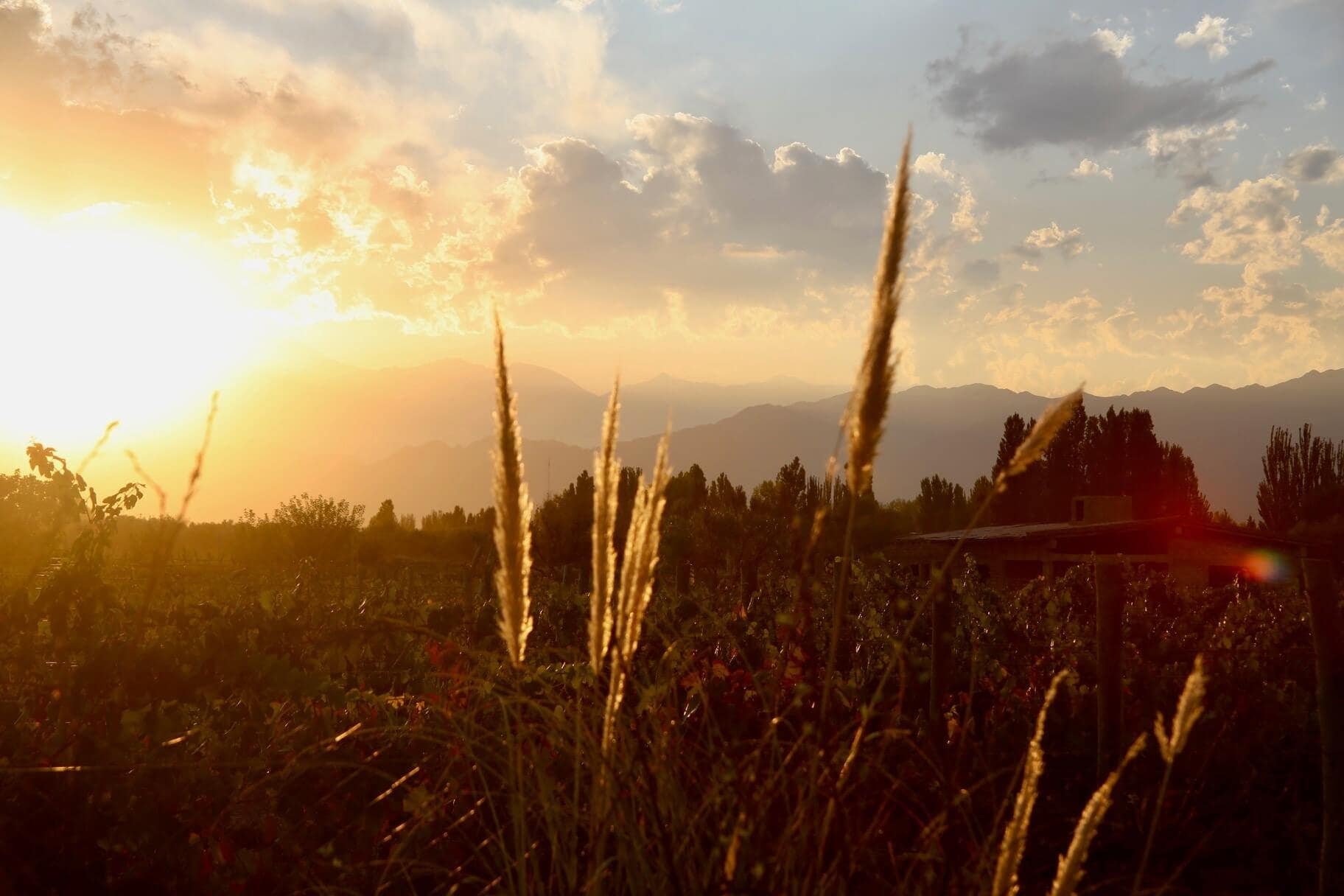 reiseblog-argentinien-mendoza-planen