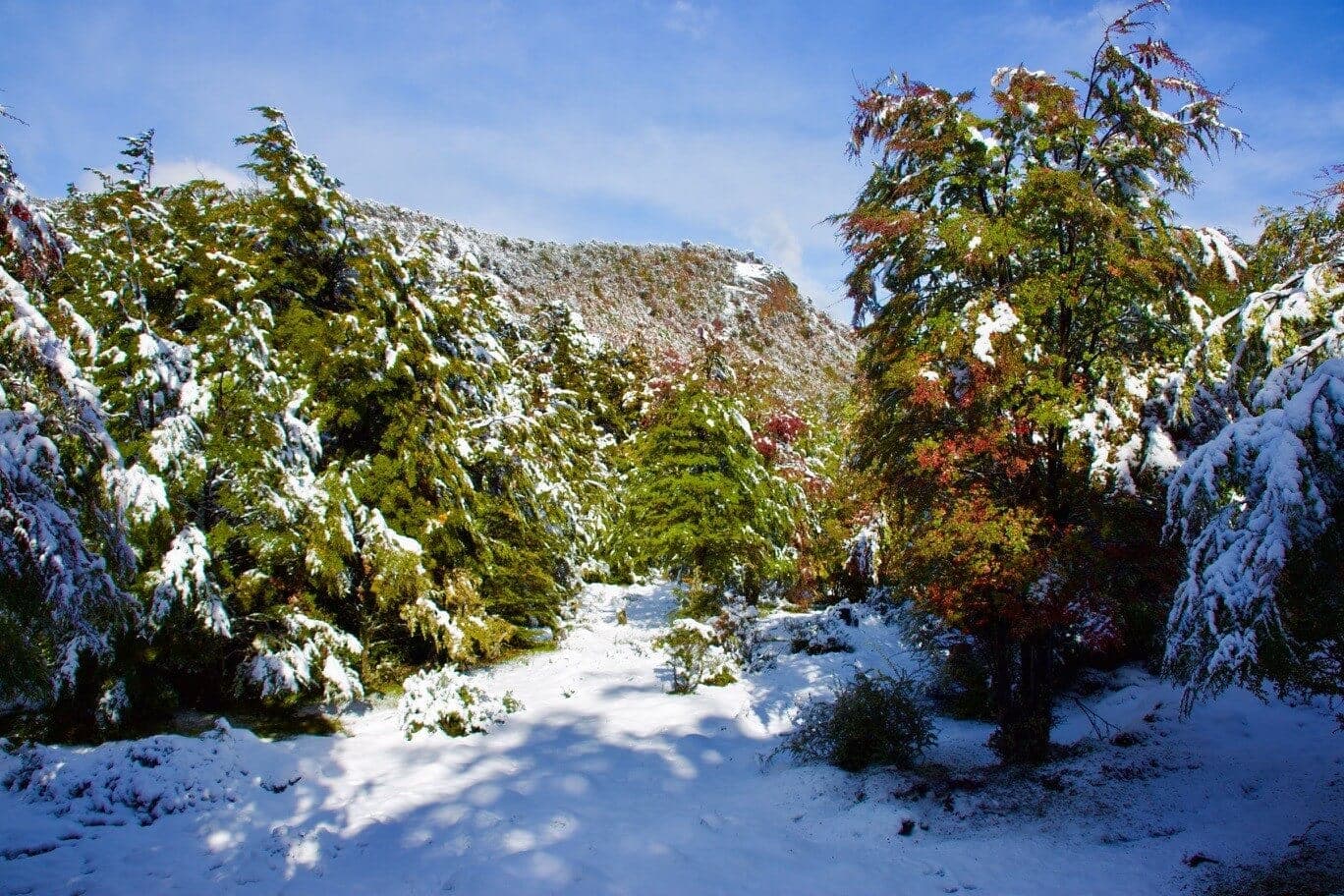 urlaub-argentinien-tierra-del-fuego