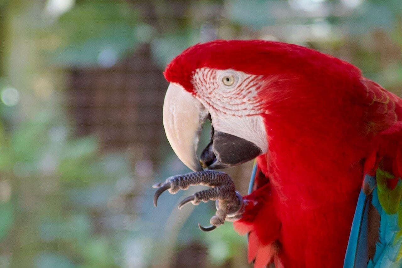 argentinien-iguazu-reiseblog-urlaub