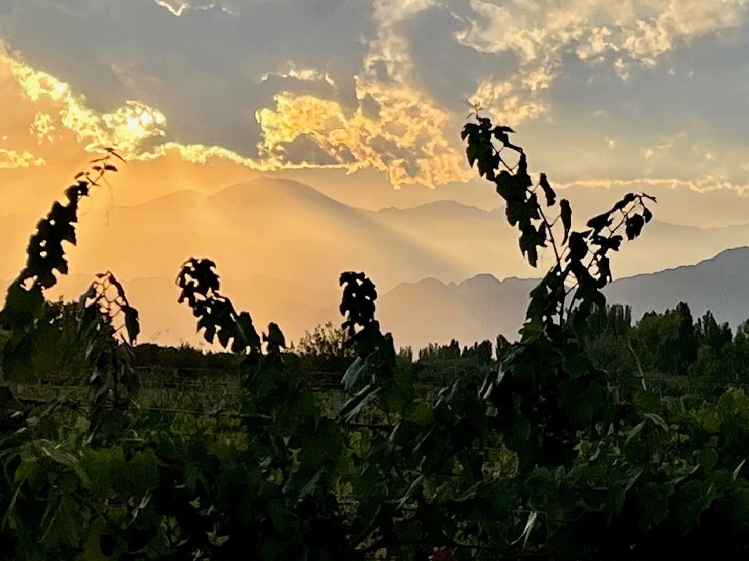 reise-blog-mendoza-individuell-reisen