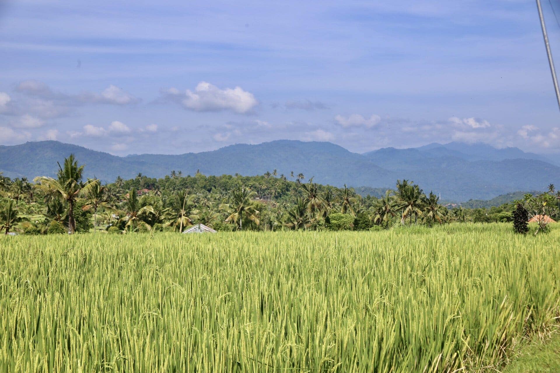 bali-indonesien-urlaub-norden-nordwesten-insel-sonne-strand-meer-aussicht-auf-entspannung-gruene-landschaft-reiseblog