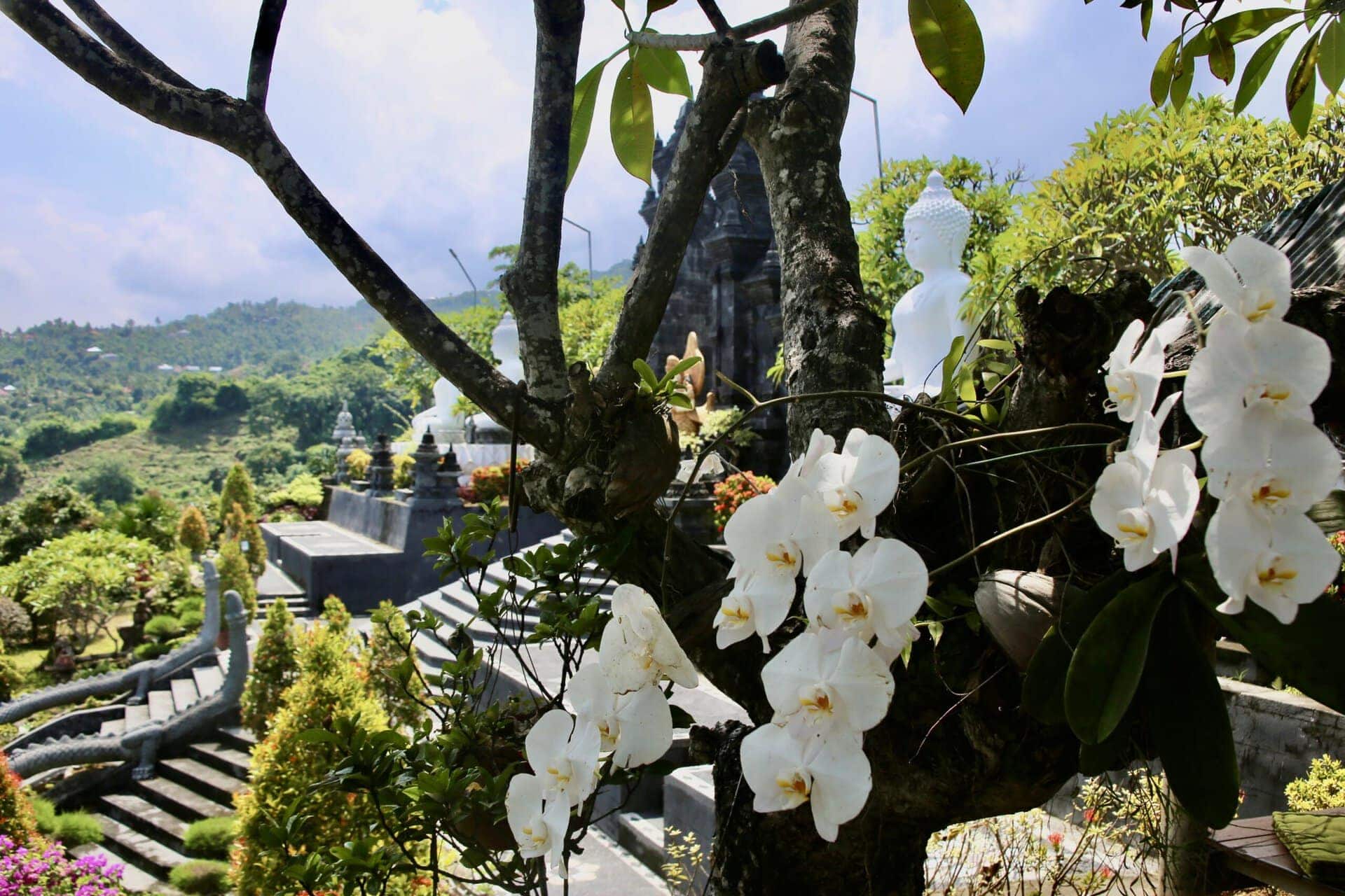 bali-indonesien-urlaub-norden-nordwesten-insel-sonne-strand-meer-aussicht-auf-entspannung-terrasse-parkidylle-reiseblog