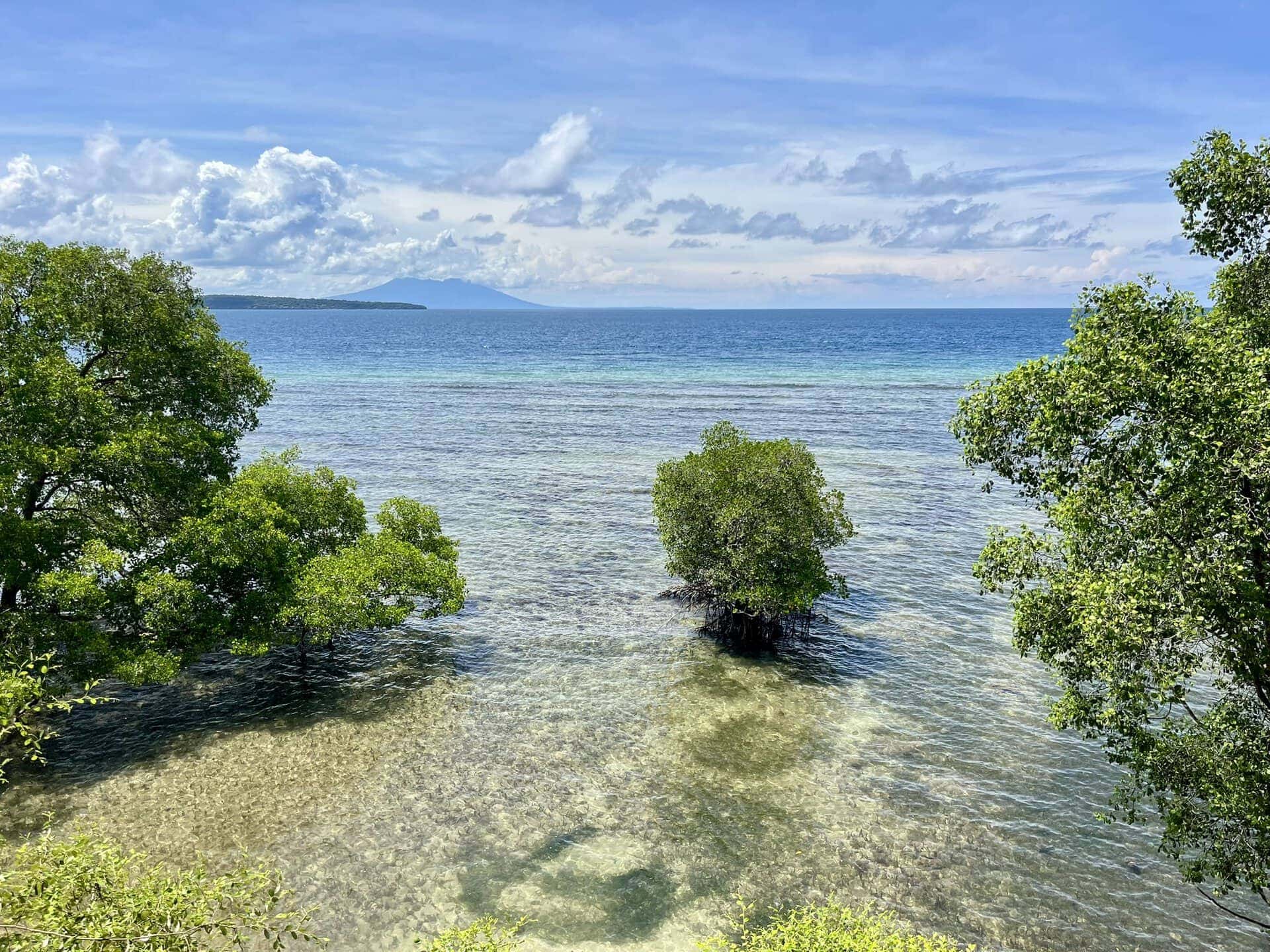 bali-indonesien-urlaub-norden-nordwesten-reiseblog