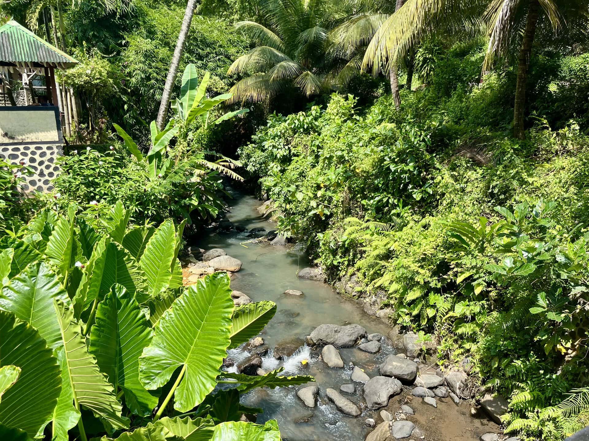 bali-indonesien-urlaub-norden-nordwesten-insel-sonne-strand-meer-aussicht-auf-garten-bach-reiseblog