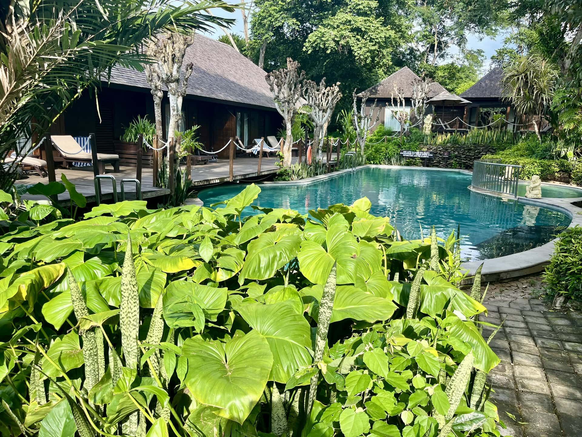 bali-indonesien-urlaub-norden-nordwesten-insel-sonne-strand-meer-aussicht-auf-poolbereich-hotel-reiseblog