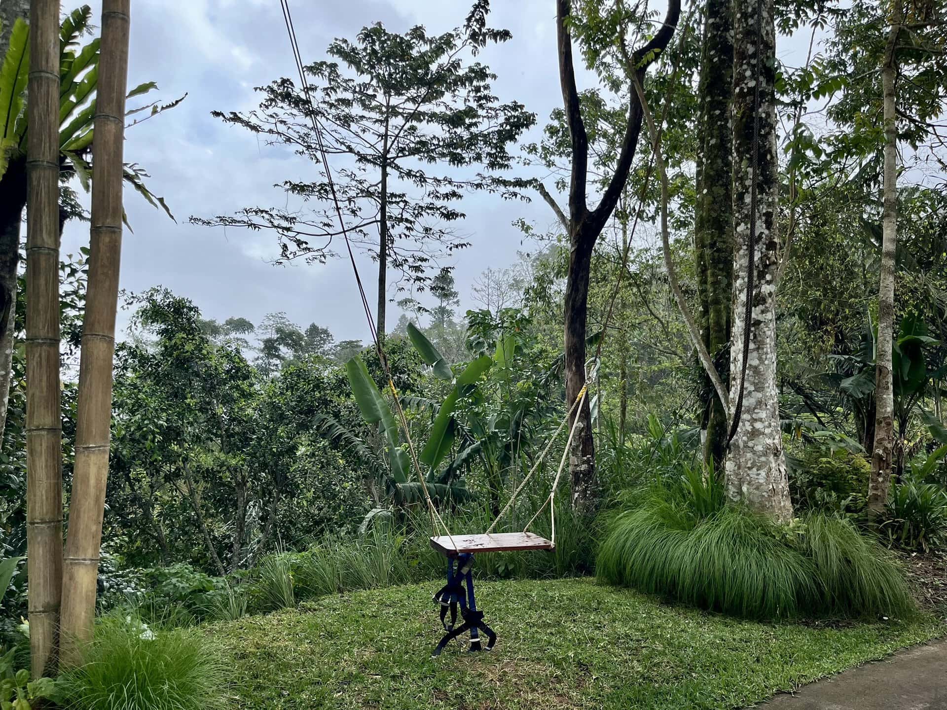 bali-indonesien-urlaub-norden-nordwesten-insel-sonne-strand-meer-aussicht-busch-gruene-schaukel-reiseblog