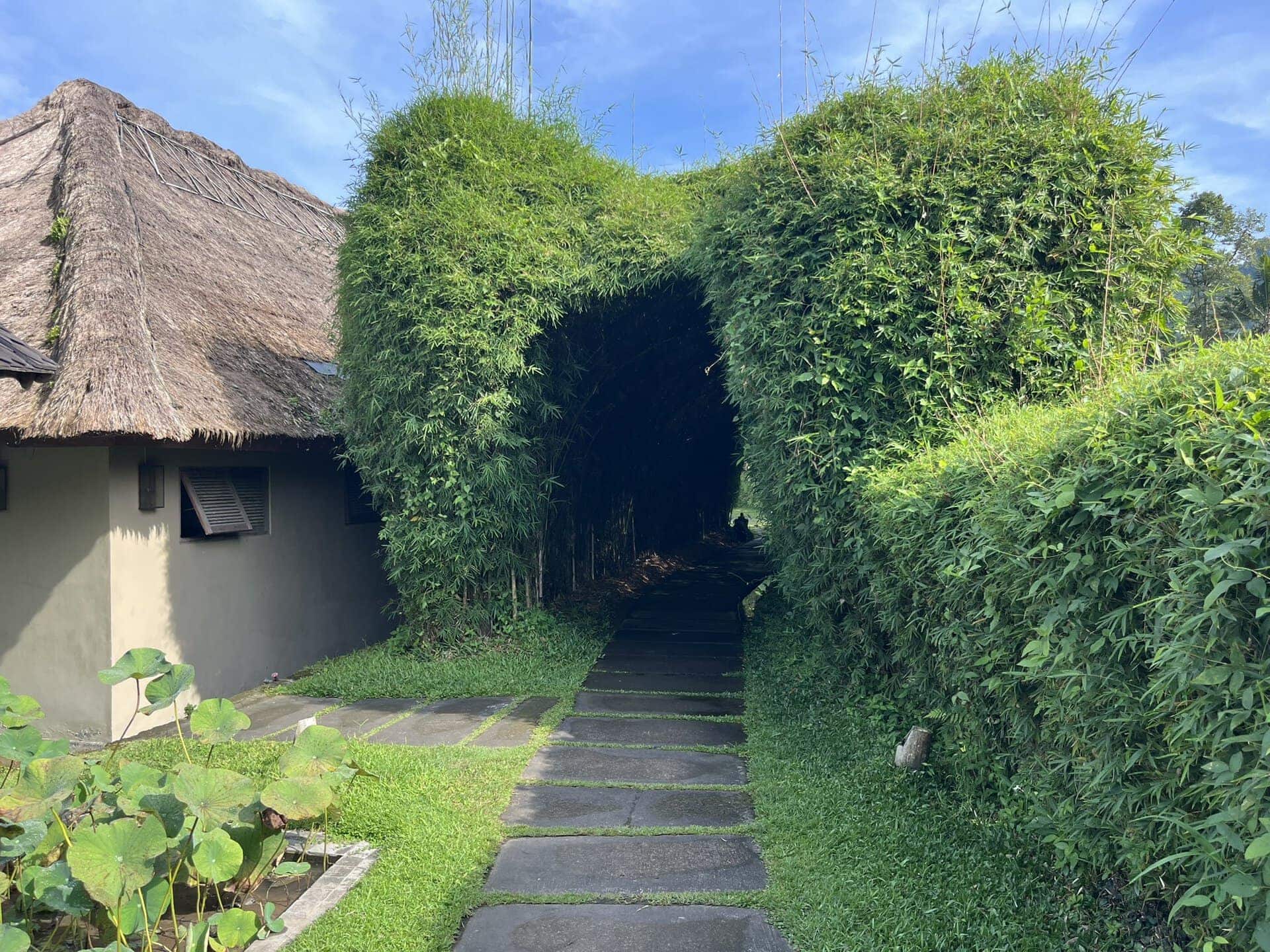 bali-indonesien-urlaub-norden-nordwesten-insel-sonne-strand-meer-aussicht-busch-reiseblog