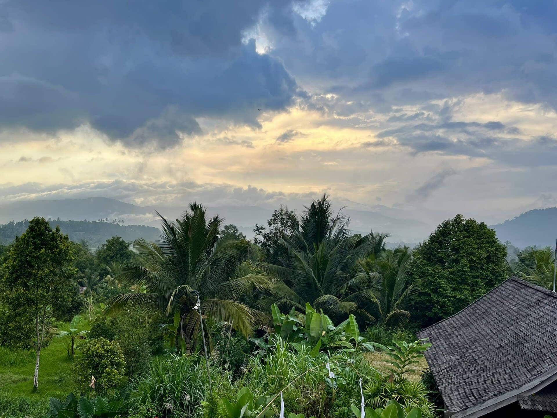 bali-indonesien-urlaub-norden-nordwesten-insel-sonne-strand-meer-aussicht-palmen-reiseblog