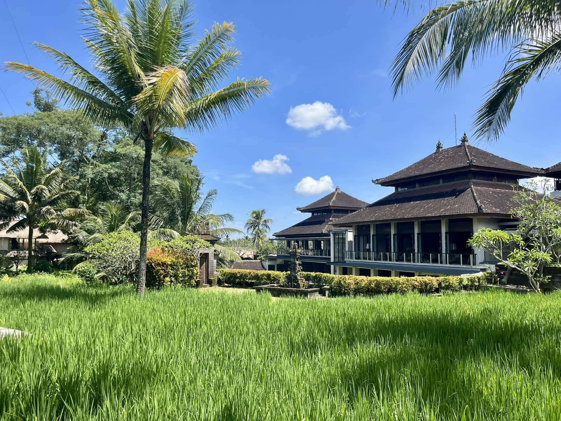 bali-indonesien-urlaub-norden-nordwesten-insel-sonne-strand-meer-aussicht-sonnig-reiseblog