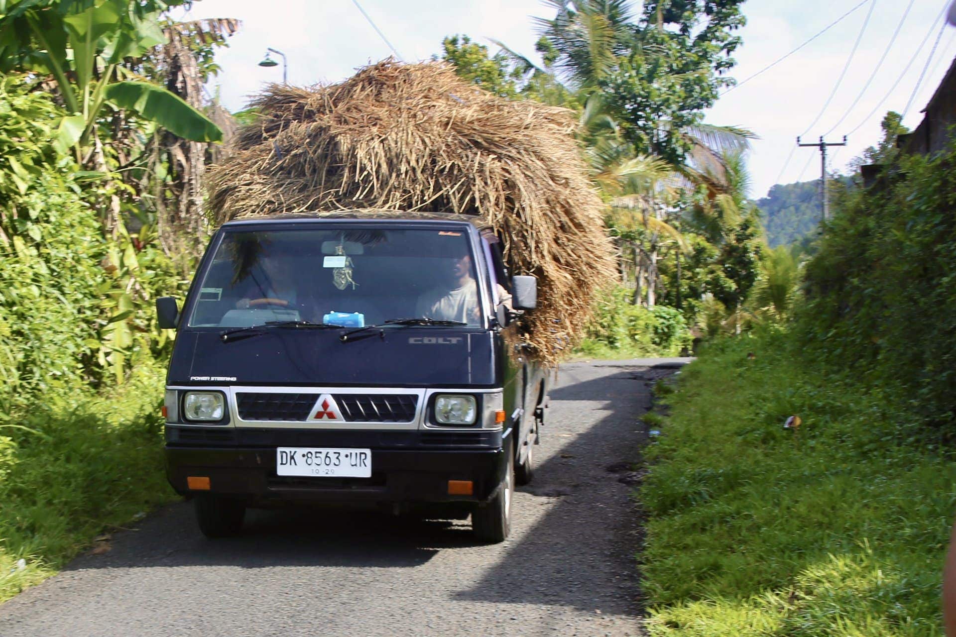 bali-indonesien-urlaub-norden-nordwesten-insel-sonne-strand-meer-bauern-reiseblog