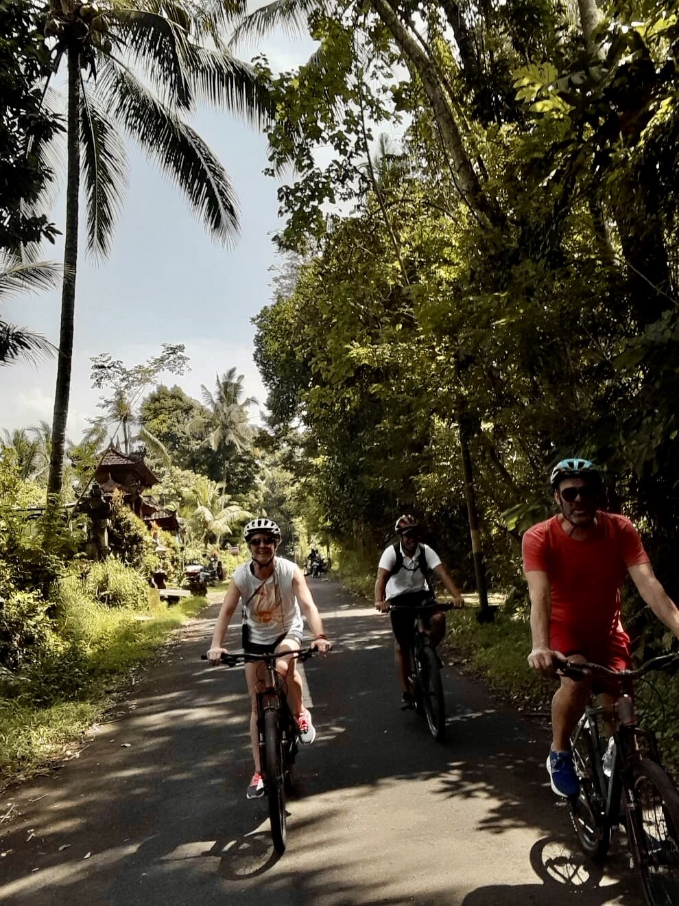 bali-indonesien-urlaub-norden-nordwesten-insel-sonne-strand-meer-fahrradtour-urwald-reiseblog