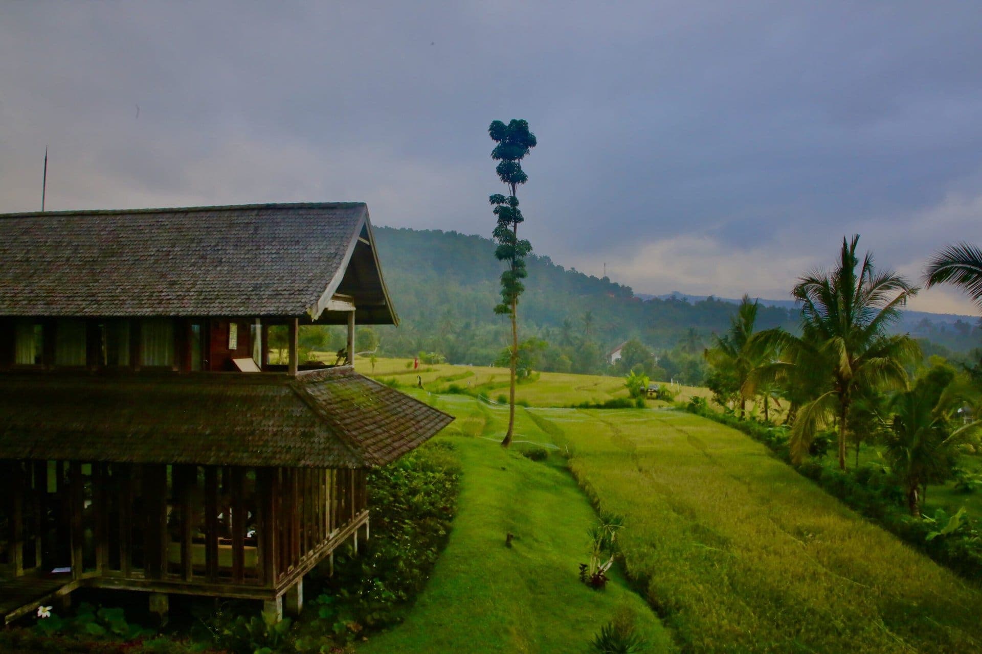 bali-indonesien-urlaub-norden-nordwesten-insel-sonne-strand-meer-gemaeldehaft-reiseblog