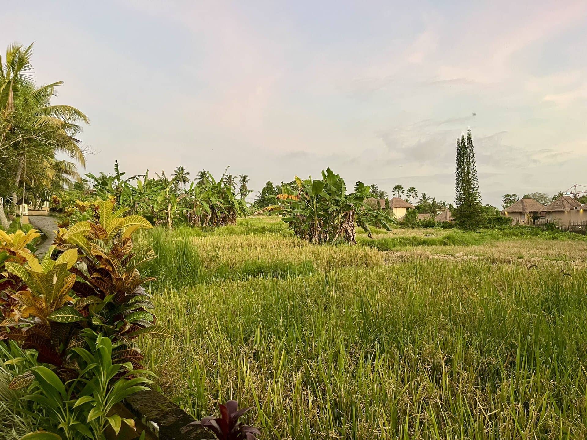 bali-indonesien-urlaub-norden-nordwesten-insel-sonne-strand-meer-gruen-reiseblog