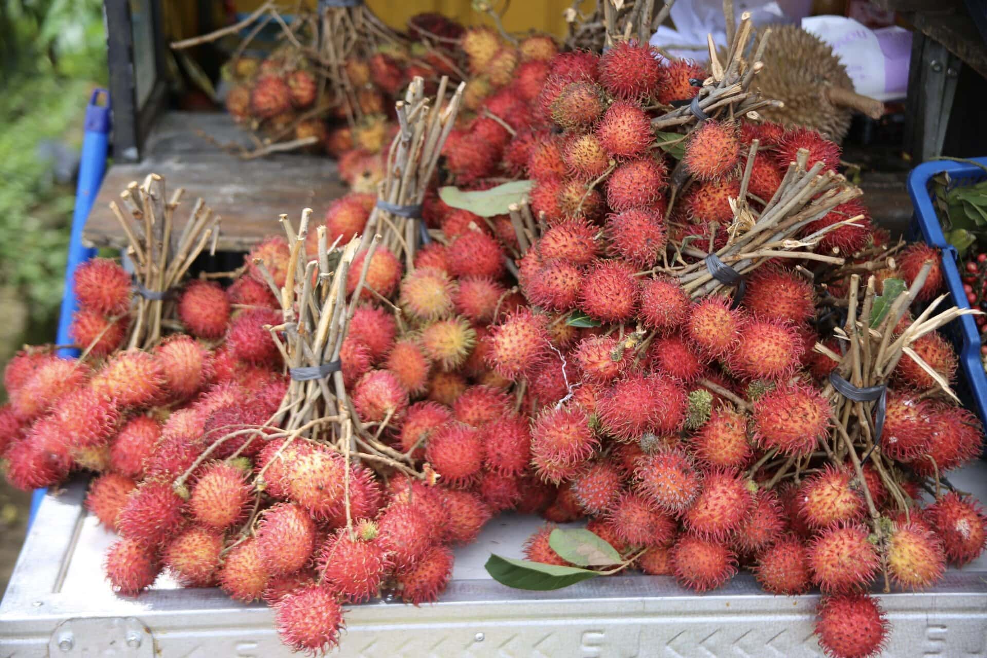 bali-indonesien-urlaub-norden-nordwesten-insel-sonne-strand-meer-obst-reiseblog