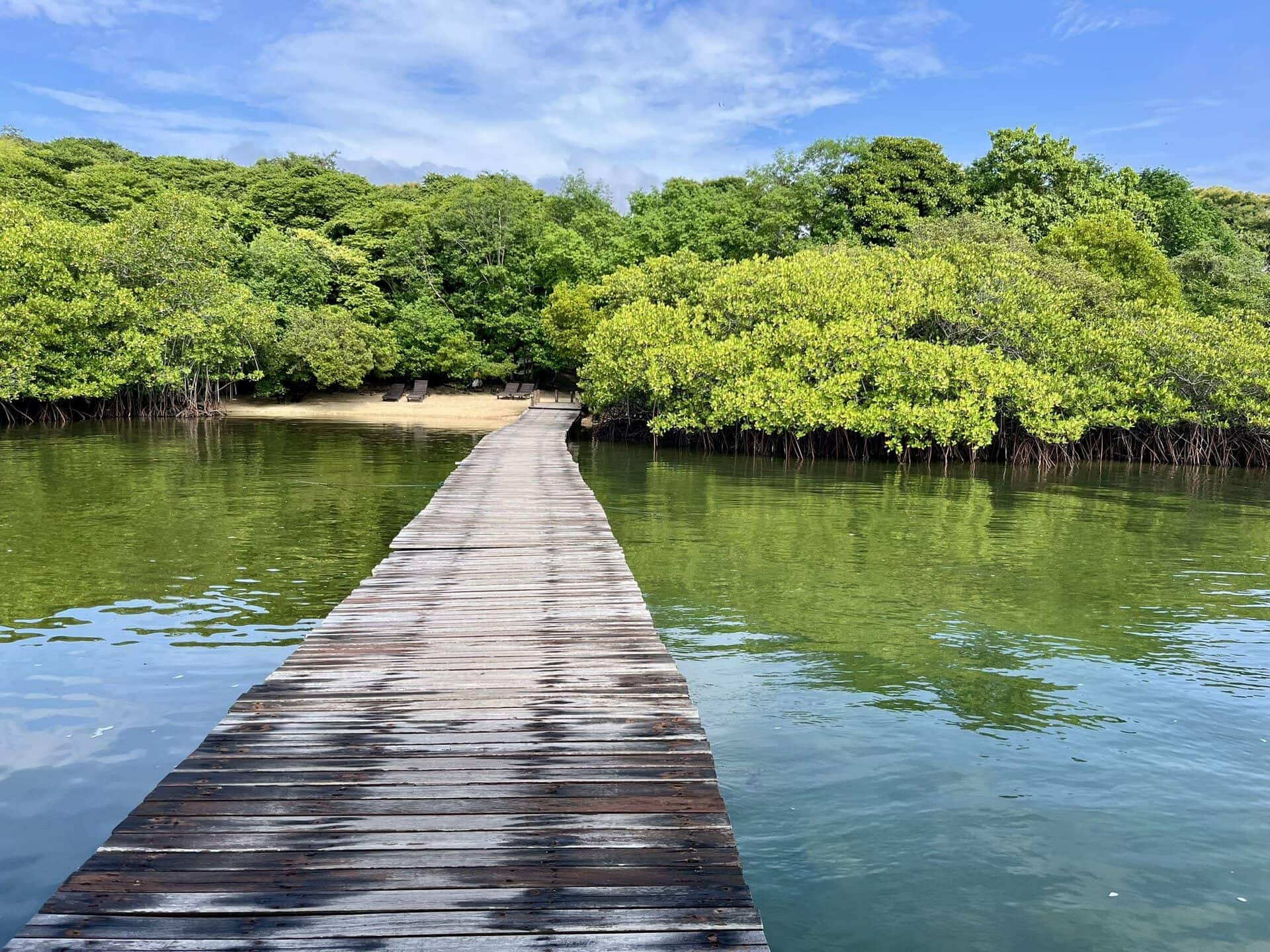 bali-indonesien-urlaub-norden-nordwesten-insel-sonne-strand-meer-steg-mangrovenwald-reiseblog