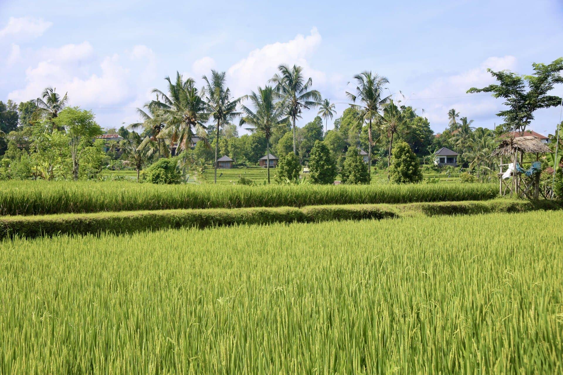 bali-indonesien-urlaub-norden-nordwesten-insel-sonne-strand-meer-wandern-landschaft-reiseblog