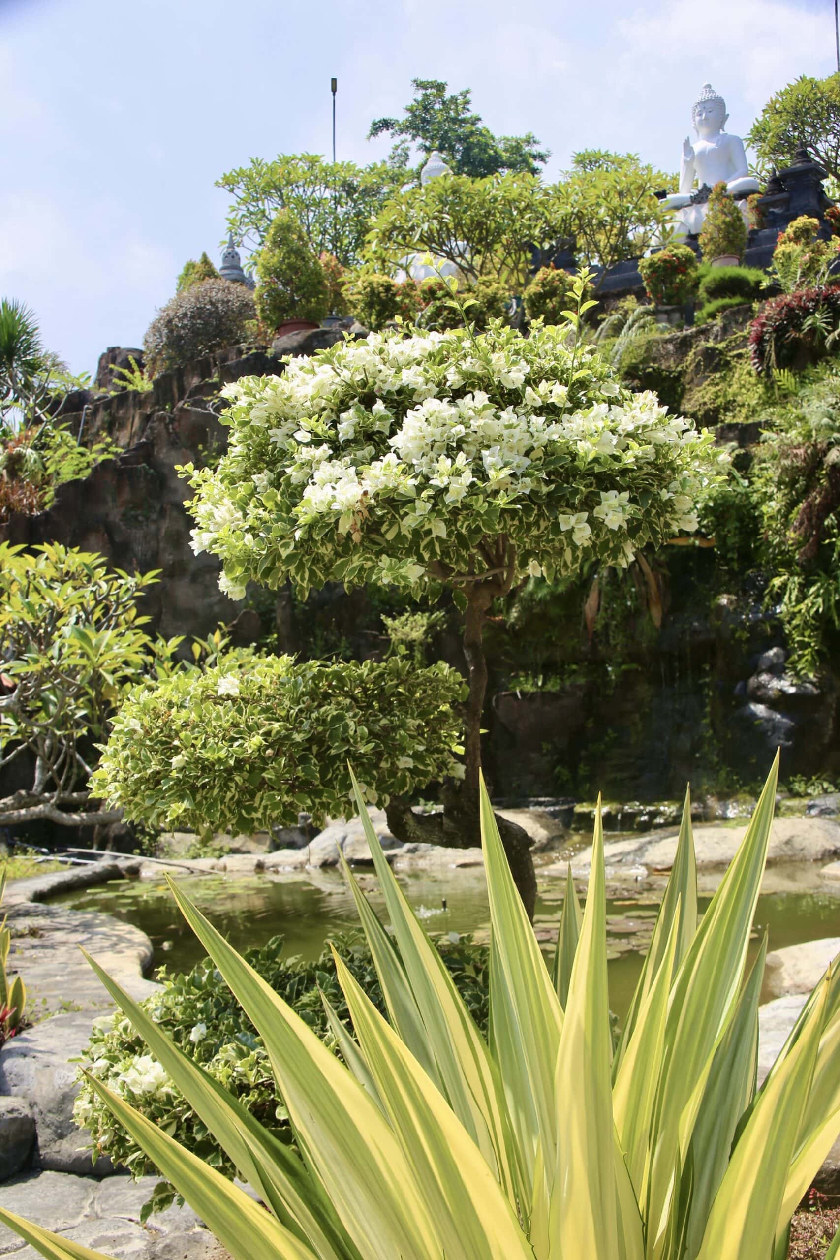 bali-indonesien-urlaub-norden-nordwesten-insel-sonne-strand-meer-weiss-park-reiseblog