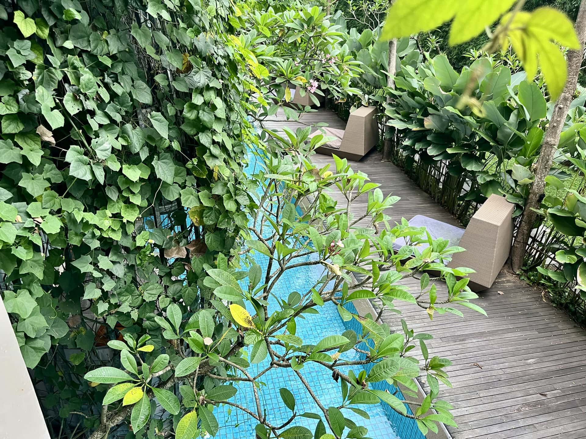 bali-indonesien-urlaub-sueden-suedosten-insel-sonne-strand-meer-sanur-nusa-penida-poolblick-reiseblog