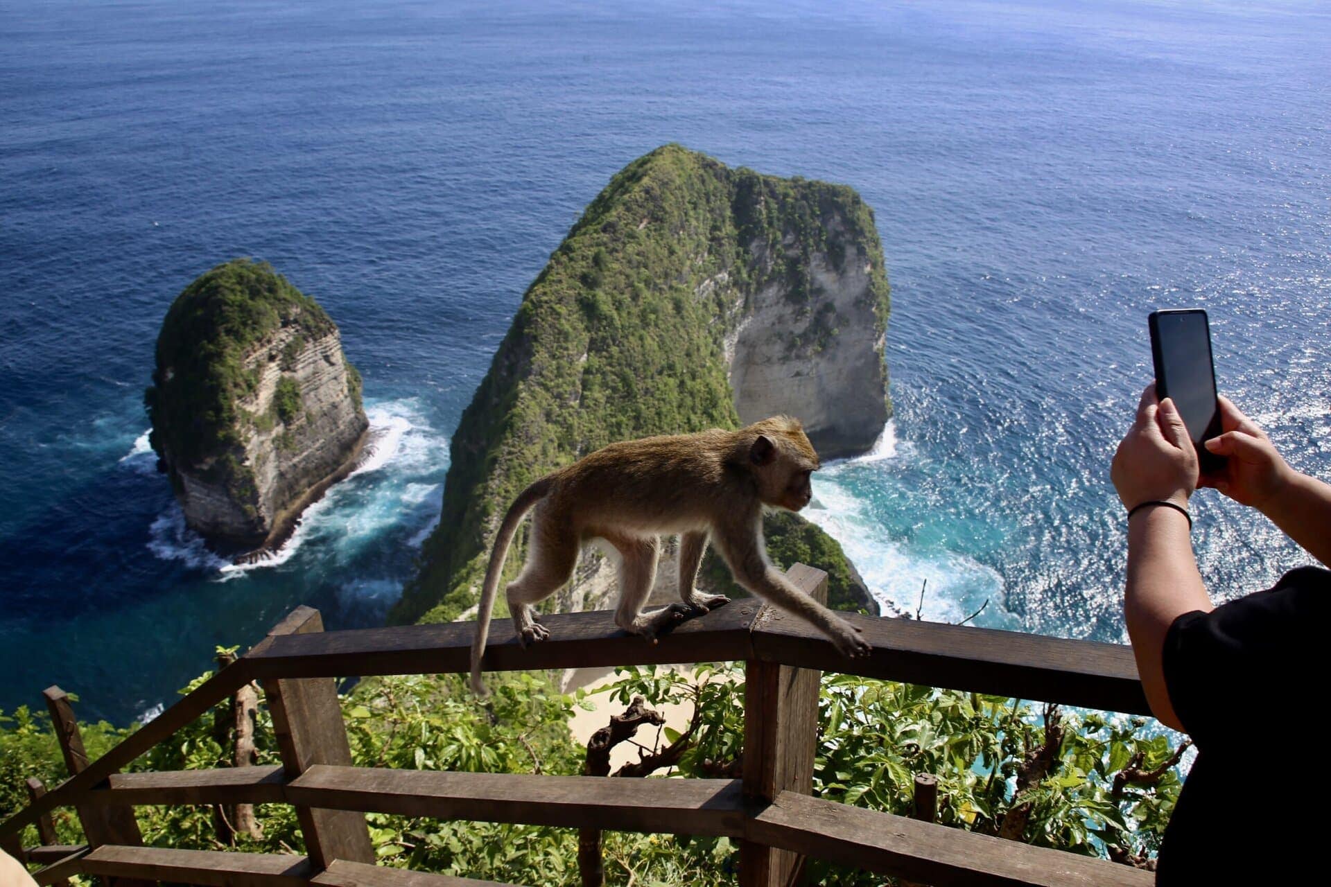 bali-indonesien-urlaub-sueden-suedosten-insel-sonne-strand-meer-sanur-nusa-penida-strandaffe-reiseblog