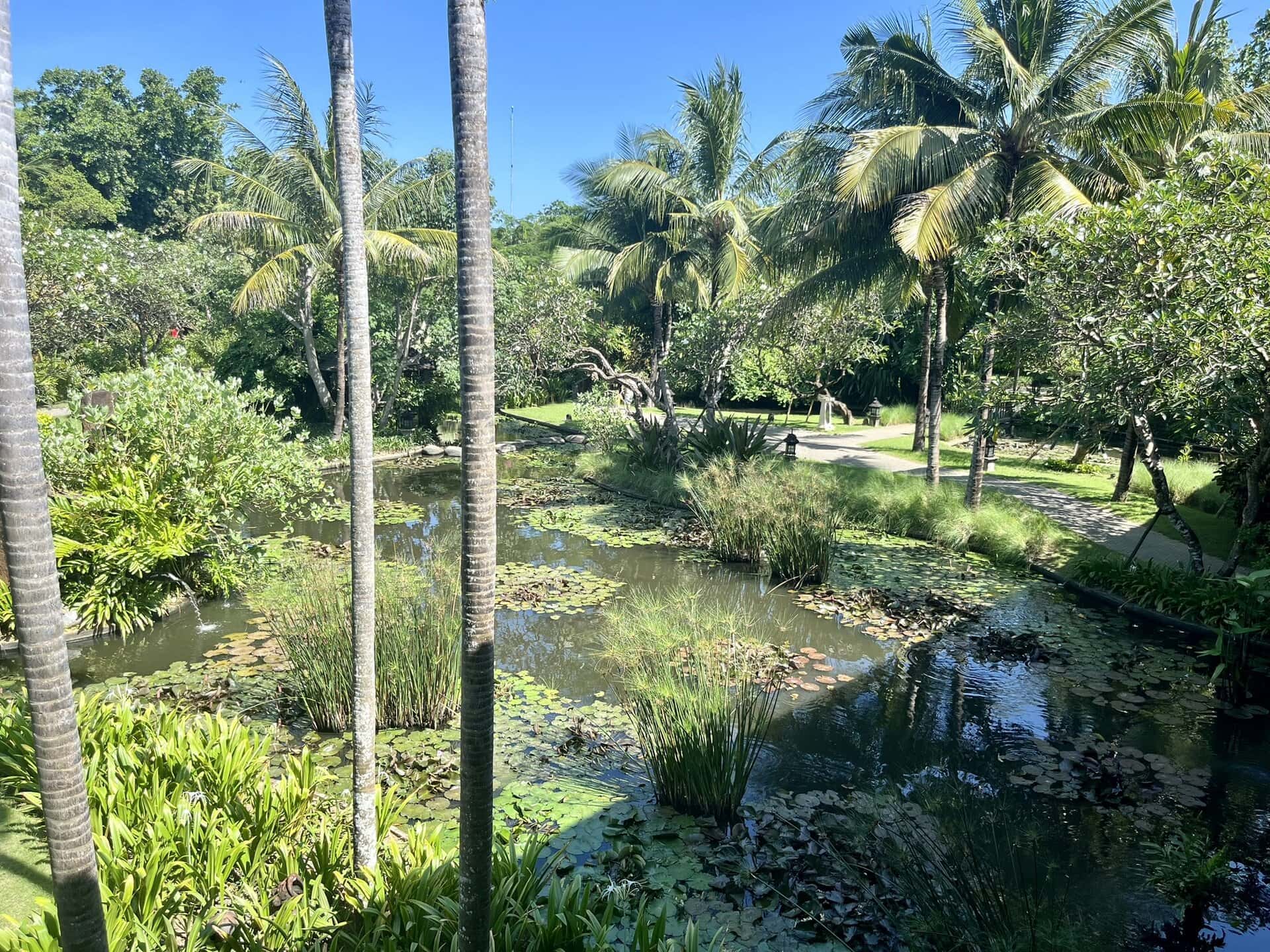 bali-indonesien-urlaub-sueden-suedosten-insel-sonne-strand-meer-sanur-nusa-penida-teich-reiseblog