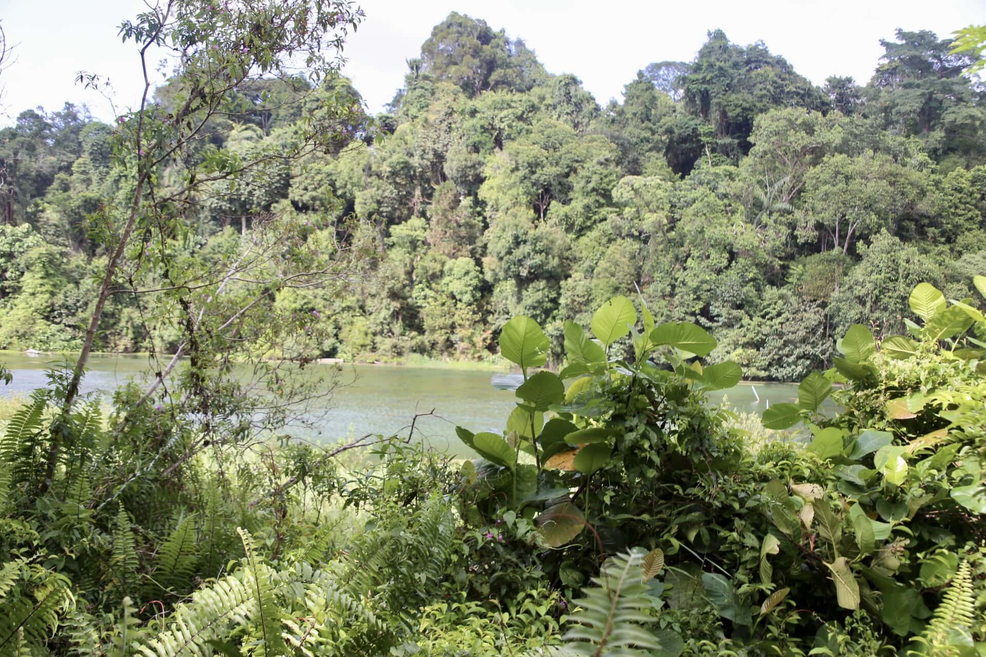 städtereise-singapur-reiseblog-indonesien-urlaub-architektur-green-trail-reise