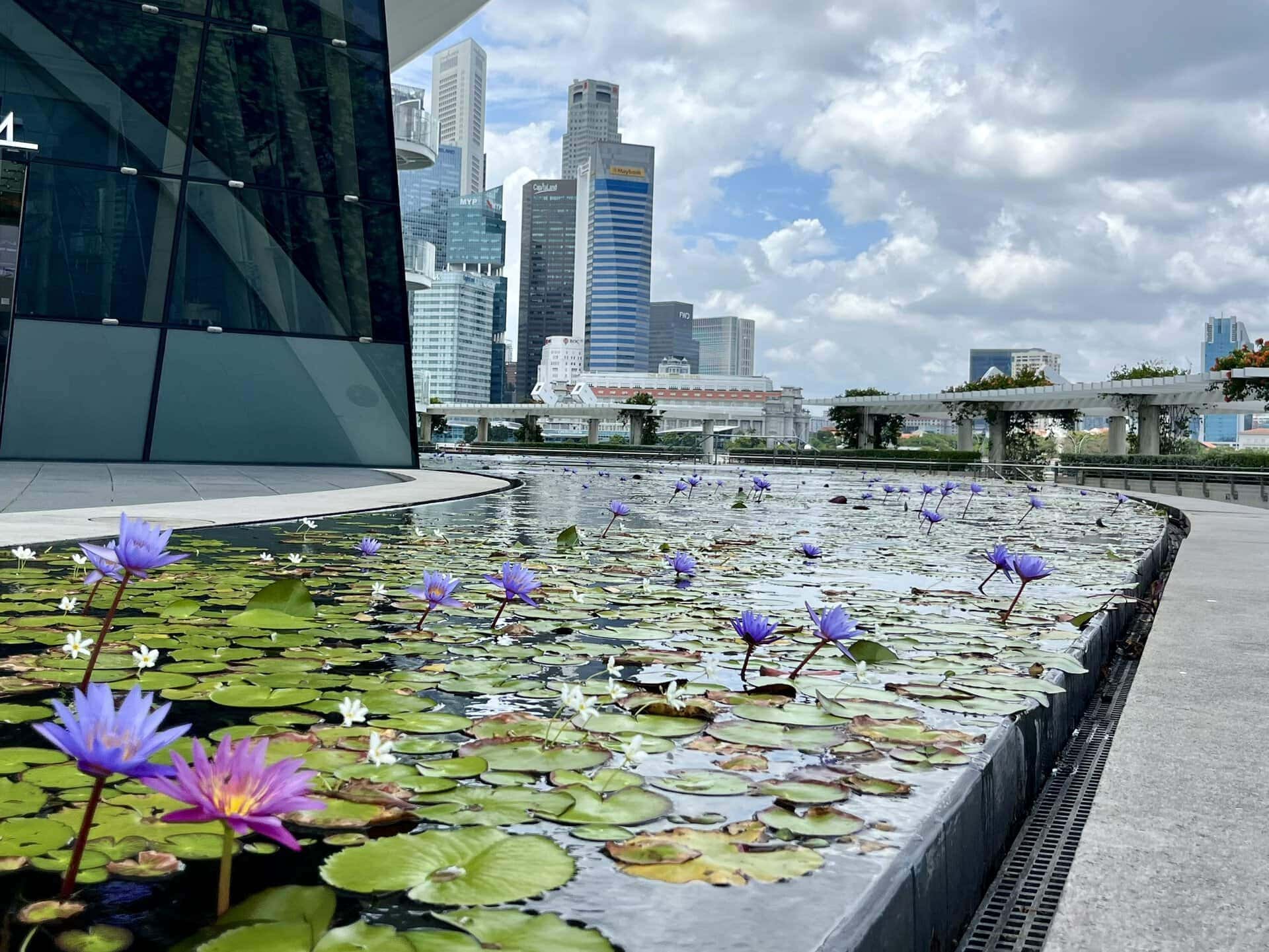 städtereise-singapur-reiseblog-indonesien-urlaub-architektur-modern-reise