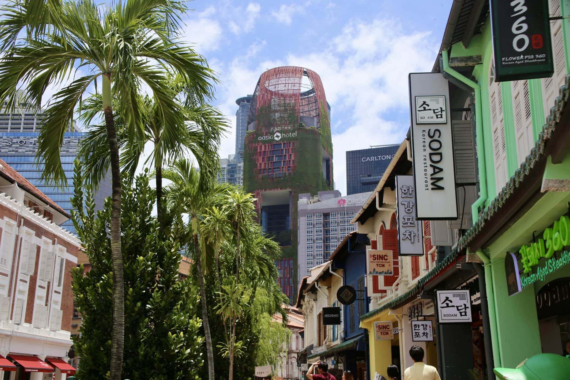 städtereise-singapur-reiseblog-indonesien-urlaub-palmen-hotel-reise