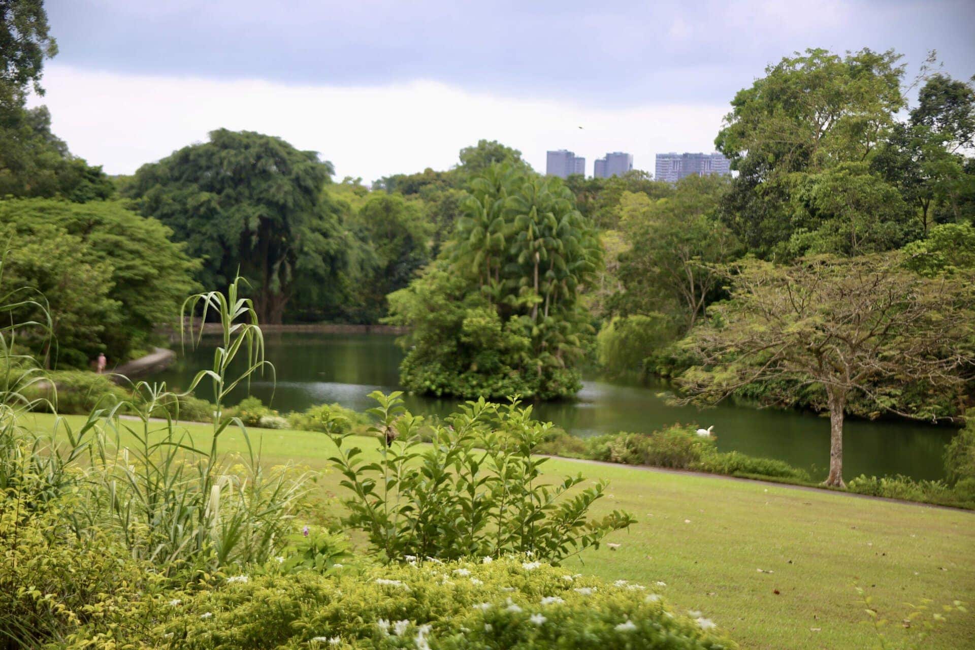 städtereise-singapur-reiseblog-indonesien-urlaub-park-pflanzen-blumen-landschaft-reise