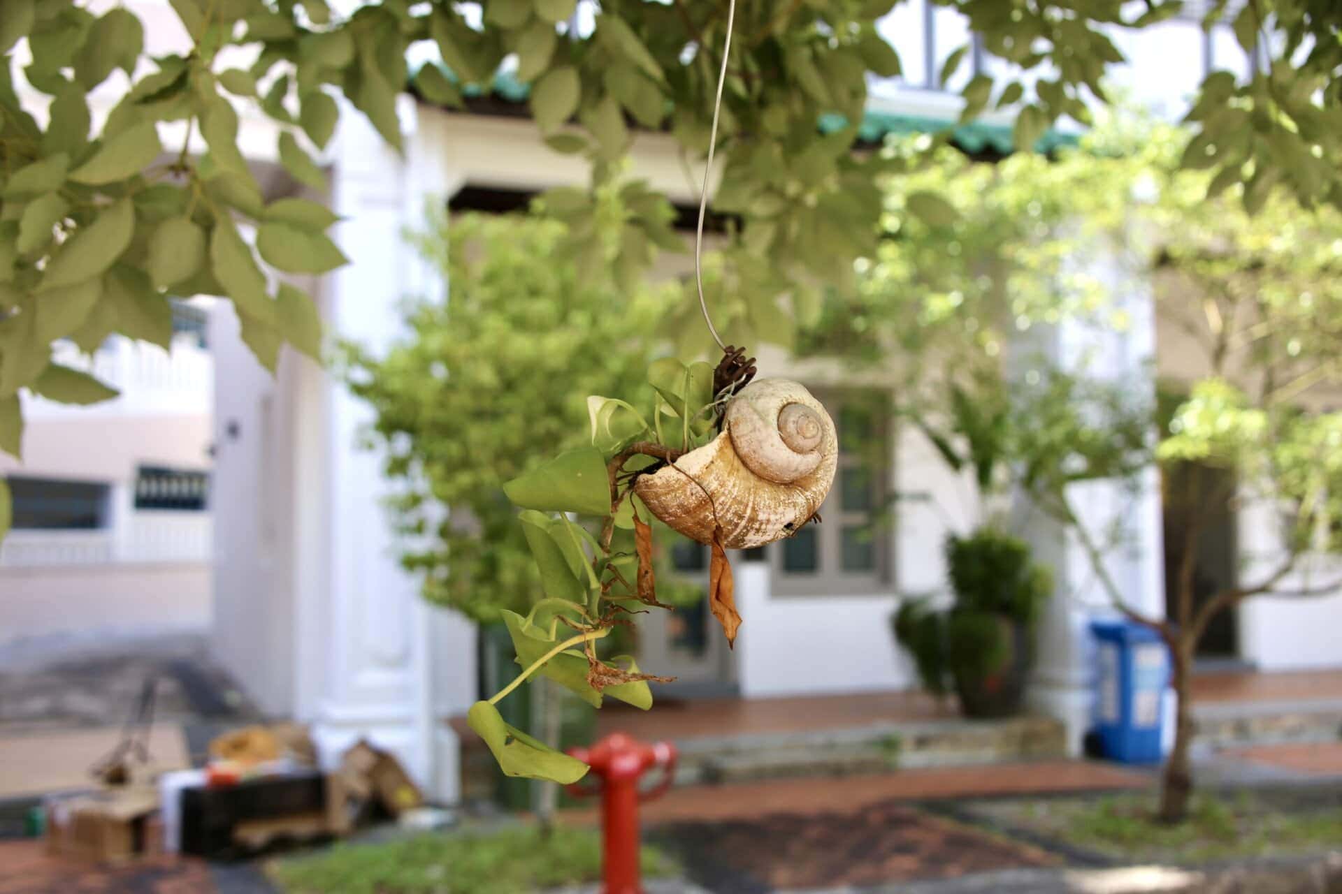 städtereise-singapur-reiseblog-indonesien-urlaub-zuhause-reise